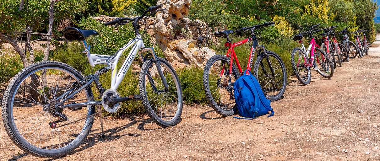 mountain bike skinos