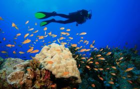 kefalonia-scuba-diving-