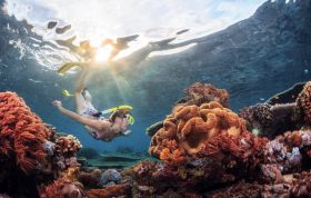shutterstock 464316578-Gallery